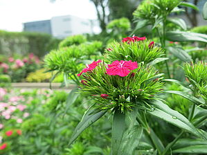 Impossible d'afficher l'image