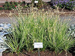 Impossible d'afficher l'image