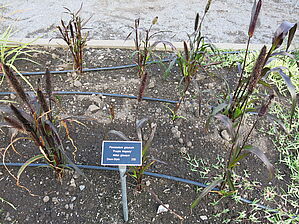 Impossible d'afficher l'image