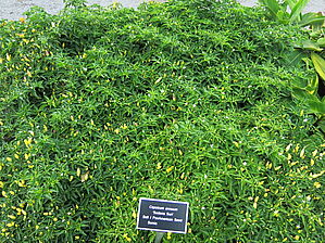 Impossible d'afficher l'image