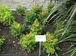 Impossible d'afficher l'image