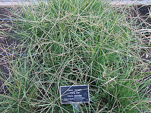 Impossible d'afficher l'image