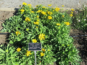 Impossible d'afficher l'image