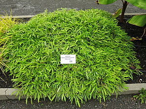 Impossible d'afficher l'image