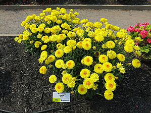 Impossible to display the image