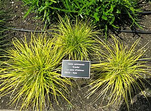 Impossible d'afficher l'image