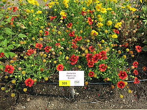 Impossible d'afficher l'image