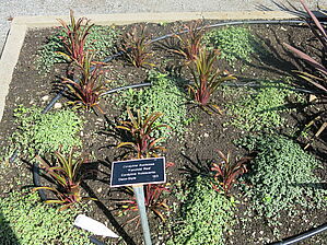 Impossible d'afficher l'image