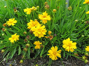 Impossible d'afficher l'image