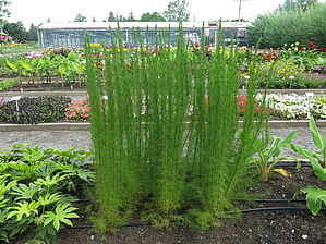 Impossible d'afficher l'image