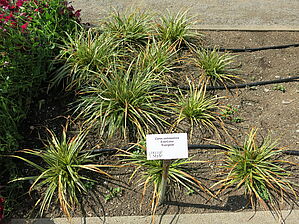 Impossible d'afficher l'image