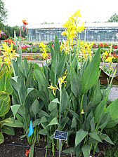 Impossible d'afficher l'image