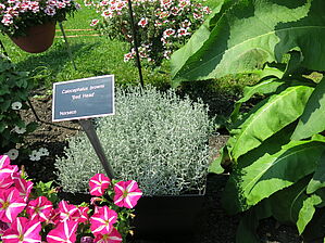 Impossible d'afficher l'image