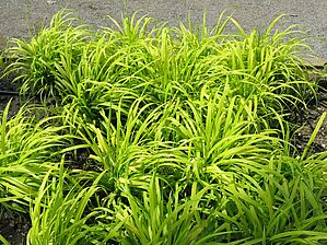 Impossible d'afficher l'image