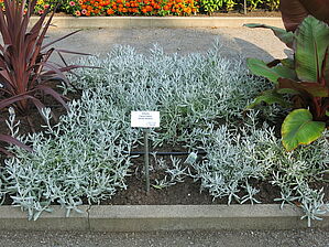 Impossible d'afficher l'image