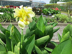 Impossible d'afficher l'image