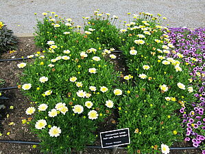 Impossible d'afficher l'image