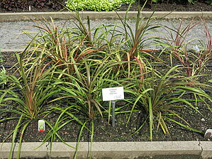 Impossible d'afficher l'image