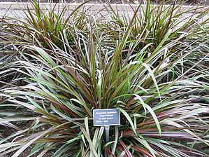 Impossible d'afficher l'image