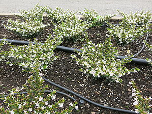 Impossible to display the image