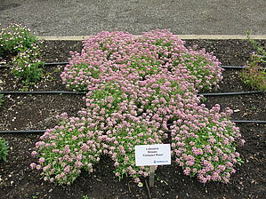 Impossible d'afficher l'image