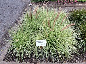 Impossible d'afficher l'image