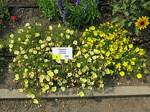 Impossible d'afficher l'image