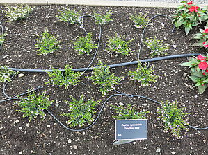 Impossible d'afficher l'image