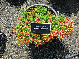 Impossible d'afficher l'image