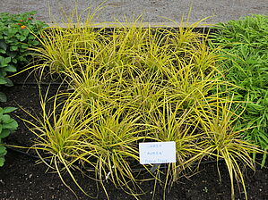 Impossible d'afficher l'image