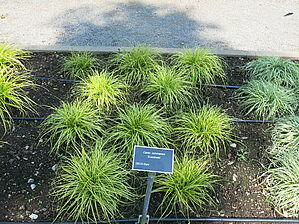 Impossible d'afficher l'image