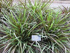 Impossible d'afficher l'image