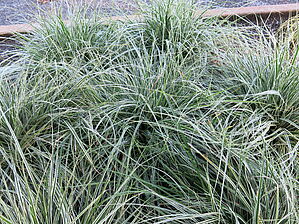 Impossible d'afficher l'image