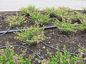 Impossible d'afficher l'image