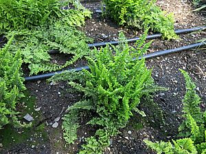 Impossible d'afficher l'image