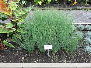 Impossible to display the image