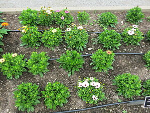 Impossible d'afficher l'image