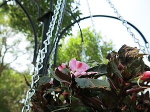 Impossible d'afficher l'image