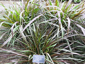 Impossible d'afficher l'image