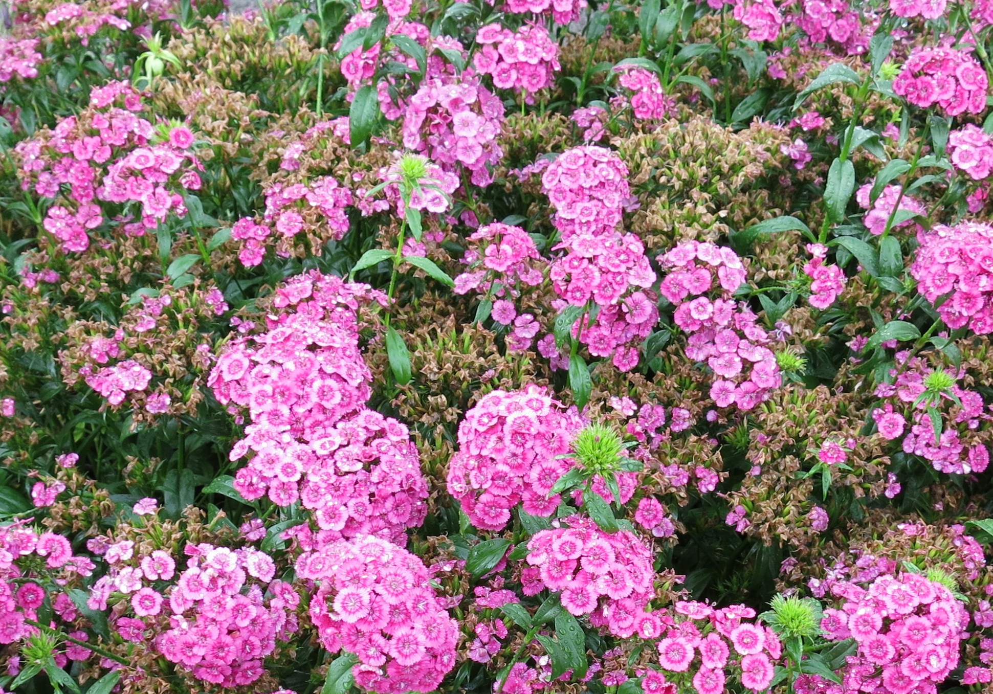 Impossible d'afficher l'image